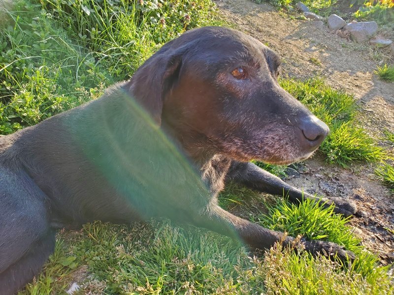 f:id:roukenhome-ann:20200323155027j:plain