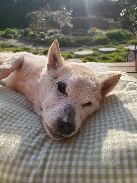 f:id:roukenhome-ann:20200323155031j:plain