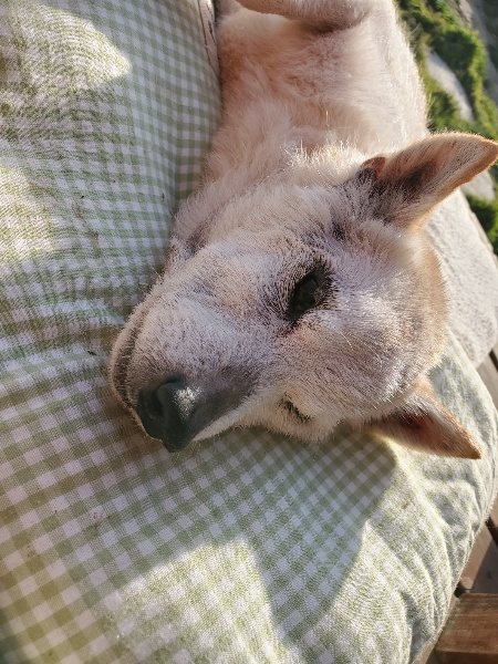 f:id:roukenhome-ann:20200323155044j:plain