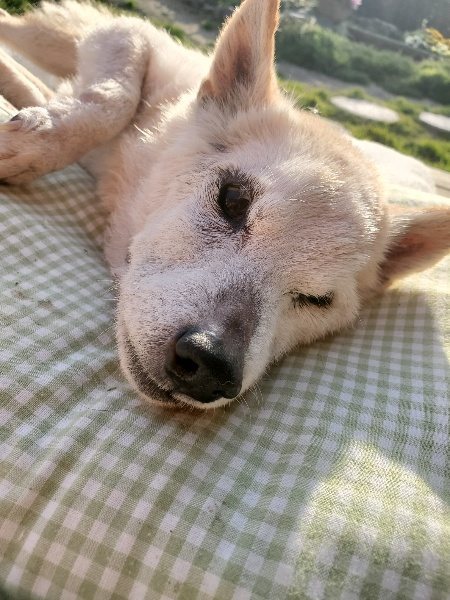 f:id:roukenhome-ann:20200323155054j:plain