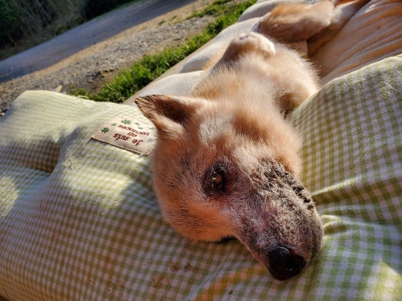 f:id:roukenhome-ann:20200323155100j:plain