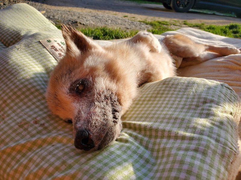 f:id:roukenhome-ann:20200323155114j:plain