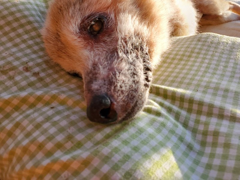 f:id:roukenhome-ann:20200323155119j:plain