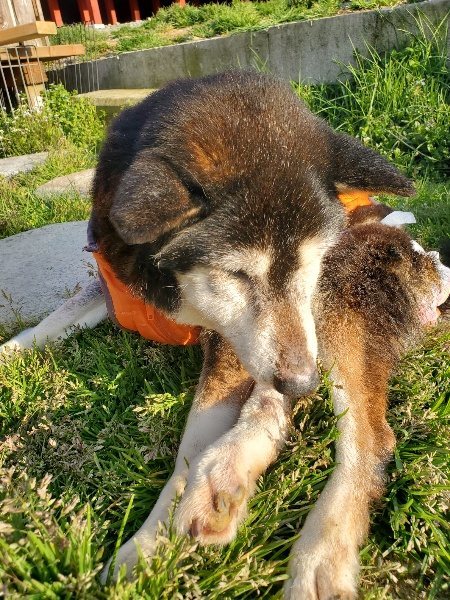 f:id:roukenhome-ann:20200323155135j:plain