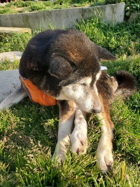 f:id:roukenhome-ann:20200323155139j:plain