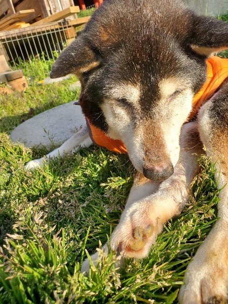 f:id:roukenhome-ann:20200323155144j:plain