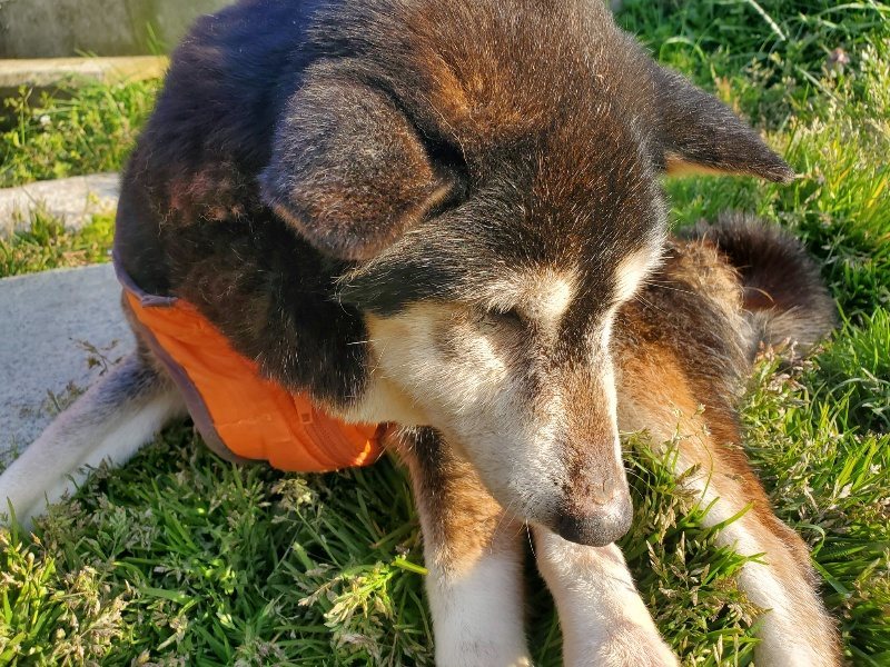 f:id:roukenhome-ann:20200323155150j:plain