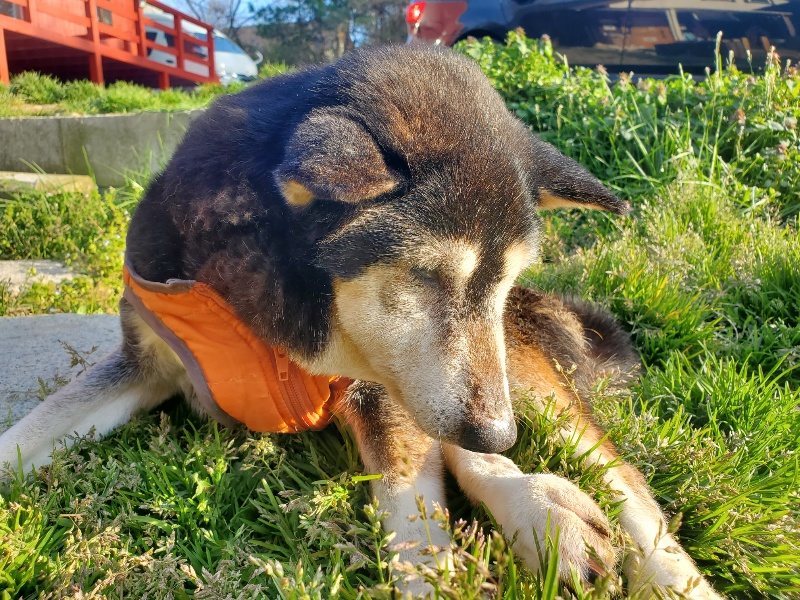 f:id:roukenhome-ann:20200323155155j:plain