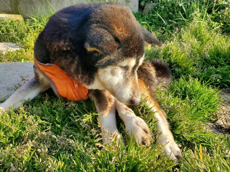 f:id:roukenhome-ann:20200323155202j:plain