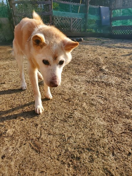 f:id:roukenhome-ann:20200323155207j:plain