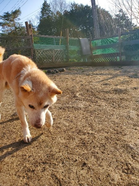 f:id:roukenhome-ann:20200323155211j:plain