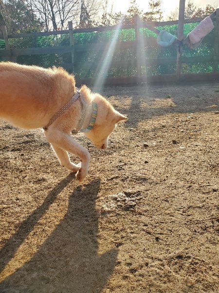 f:id:roukenhome-ann:20200323155215j:plain