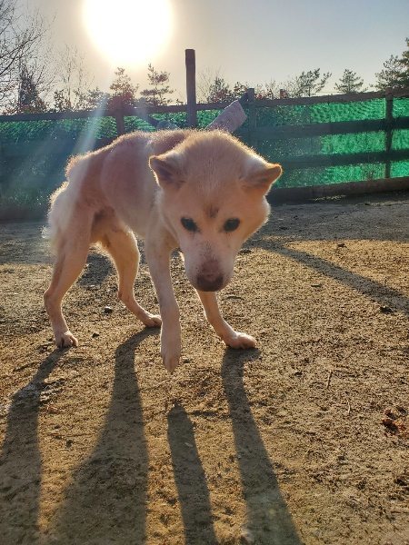 f:id:roukenhome-ann:20200323155219j:plain