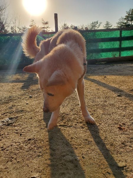 f:id:roukenhome-ann:20200323155223j:plain