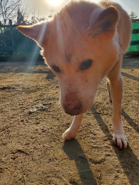 f:id:roukenhome-ann:20200323155227j:plain