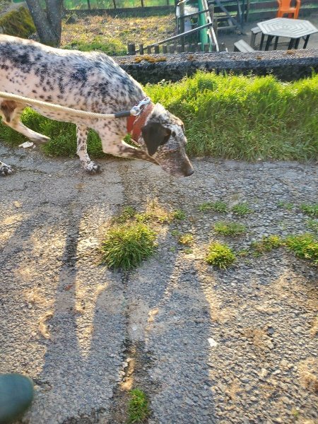 f:id:roukenhome-ann:20200323155232j:plain