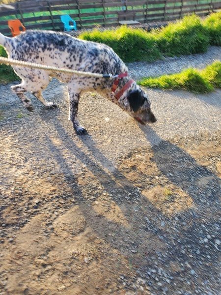 f:id:roukenhome-ann:20200323155237j:plain