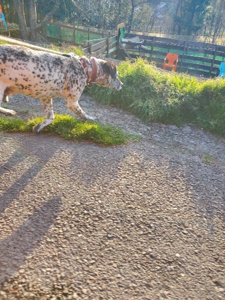 f:id:roukenhome-ann:20200323155241j:plain