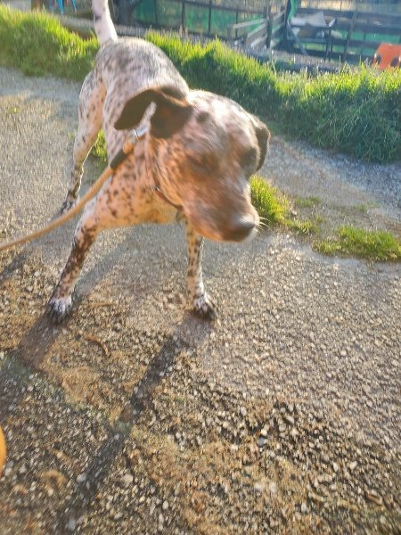 f:id:roukenhome-ann:20200323155245j:plain