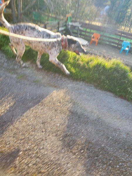 f:id:roukenhome-ann:20200323155248j:plain