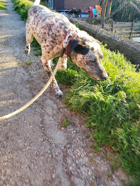 f:id:roukenhome-ann:20200323155257j:plain