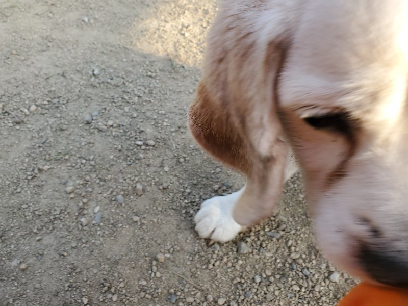 f:id:roukenhome-ann:20200323155301j:plain