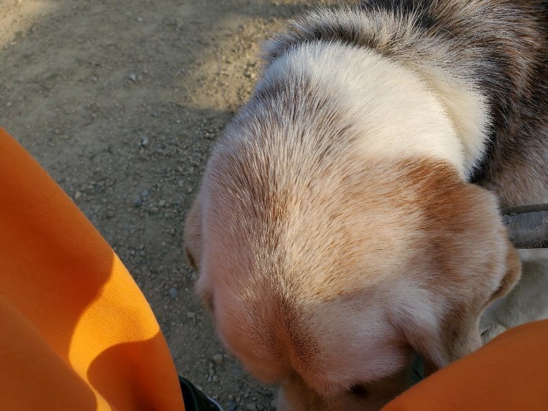 f:id:roukenhome-ann:20200323155305j:plain