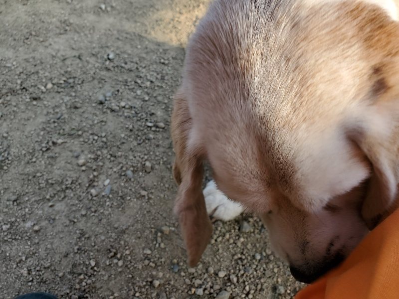 f:id:roukenhome-ann:20200323155310j:plain