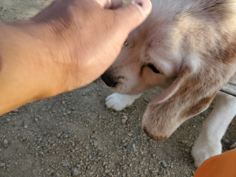 f:id:roukenhome-ann:20200323155315j:plain