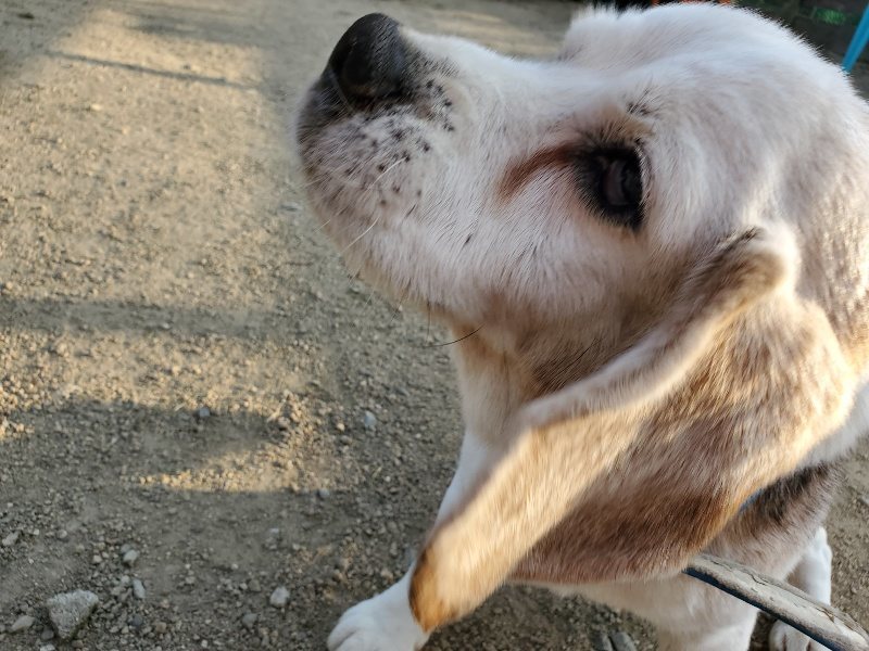 f:id:roukenhome-ann:20200323155325j:plain