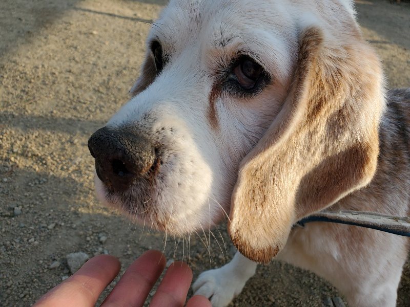 f:id:roukenhome-ann:20200323155329j:plain