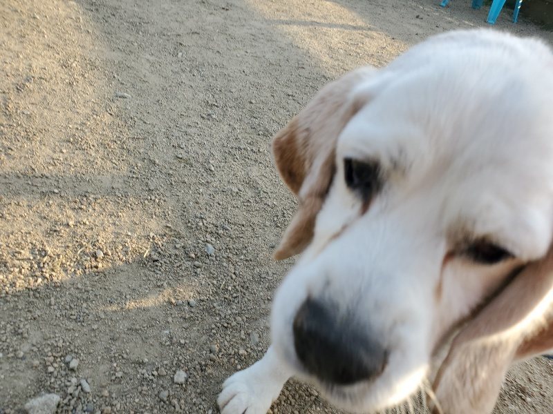 f:id:roukenhome-ann:20200323155334j:plain