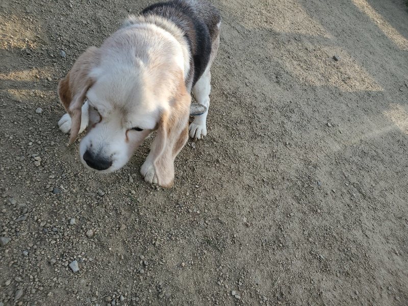 f:id:roukenhome-ann:20200323155339j:plain