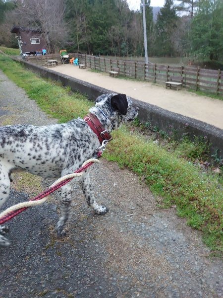 f:id:roukenhome-ann:20200324075423j:plain f:id:roukenhome-ann:20200324075423j:plain