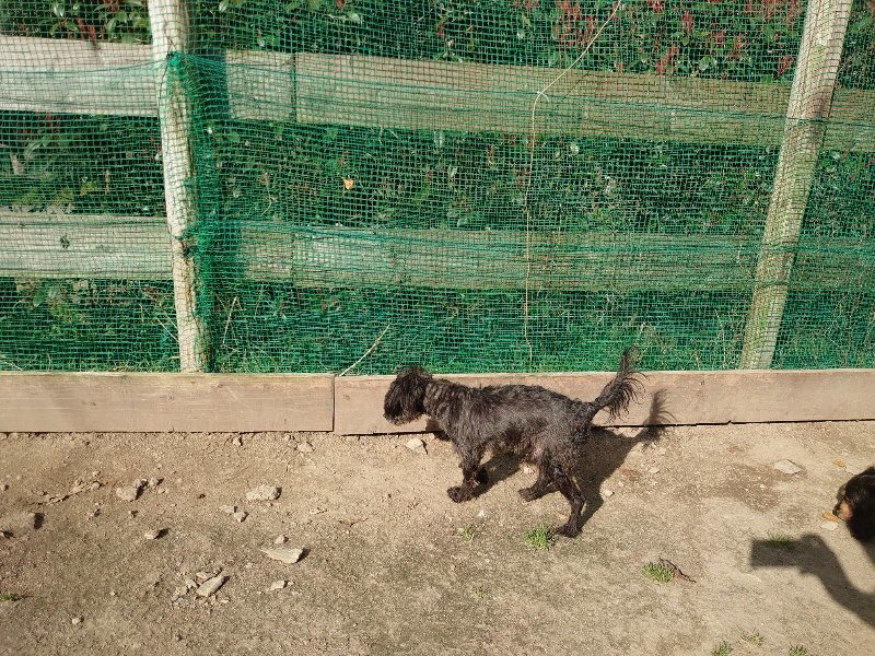 f:id:roukenhome-ann:20200324080751j:plain f:id:roukenhome-ann:20200324080751j:plain