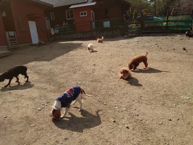 f:id:roukenhome-ann:20200324081036j:plain f:id:roukenhome-ann:20200324081036j:plain