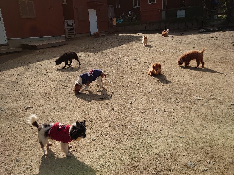 f:id:roukenhome-ann:20200324081041j:plain f:id:roukenhome-ann:20200324081041j:plain