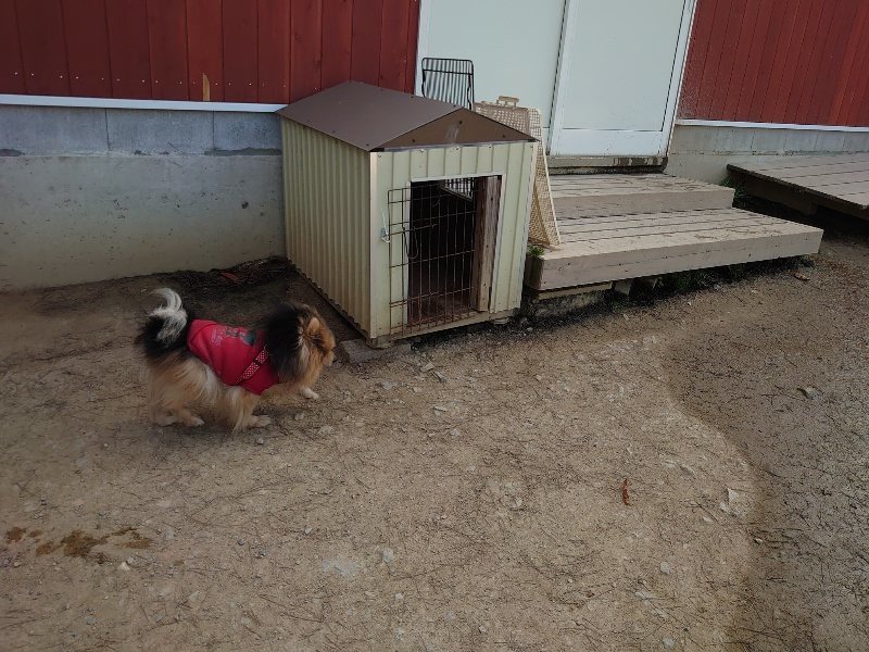 f:id:roukenhome-ann:20200324081236j:plain f:id:roukenhome-ann:20200324081236j:plain