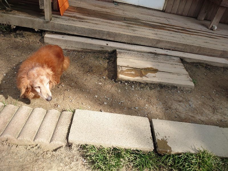 f:id:roukenhome-ann:20200324082909j:plain f:id:roukenhome-ann:20200324082909j:plain