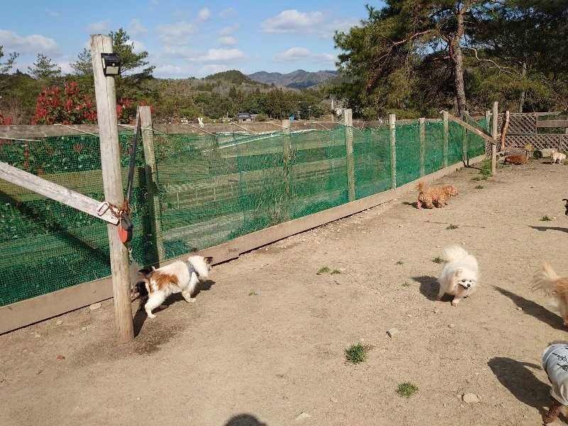 f:id:roukenhome-ann:20200324083200j:plain f:id:roukenhome-ann:20200324083200j:plain