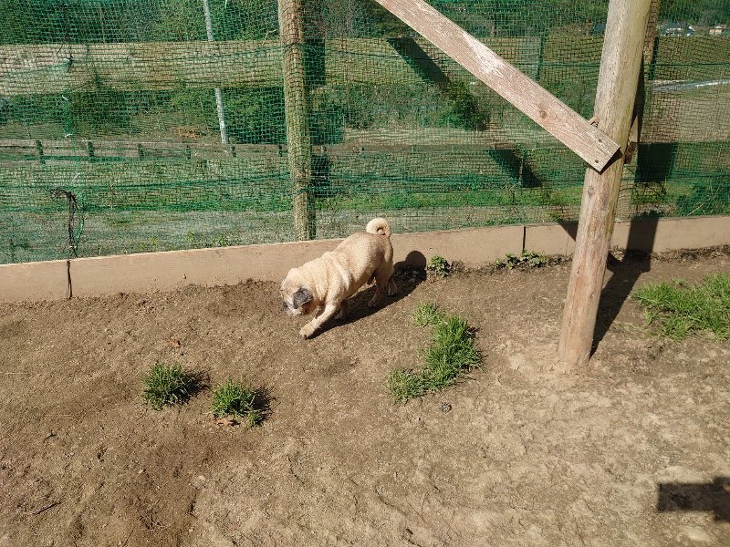 f:id:roukenhome-ann:20200324083721j:plain f:id:roukenhome-ann:20200324083721j:plain