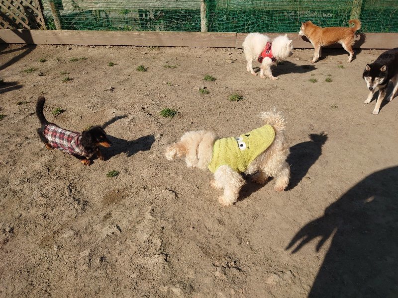 f:id:roukenhome-ann:20200327152714j:プレーン f:id:roukenhome-ann:20200327152714j:プレーン