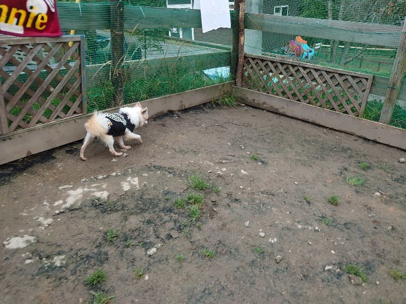 f:id:roukenhome-ann:20200330110036j:plain f:id:roukenhome-ann:20200330110036j:plain