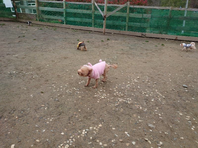 f:id:roukenhome-ann:20200330124435j:plain f:id:roukenhome-ann:20200330124435j:plain