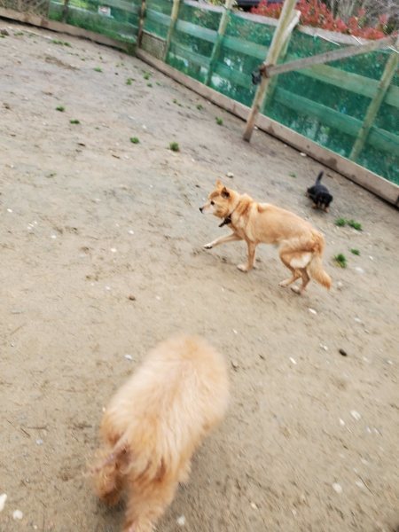 f：id：roukenhome-ann：20200331140642j：plain