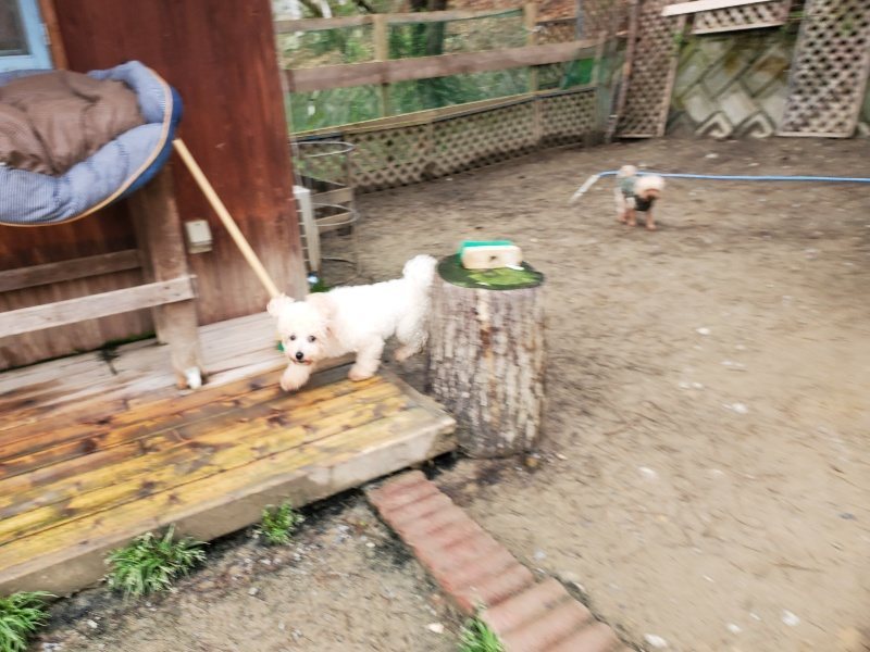 f：id：roukenhome-ann：20200331140914j：plain