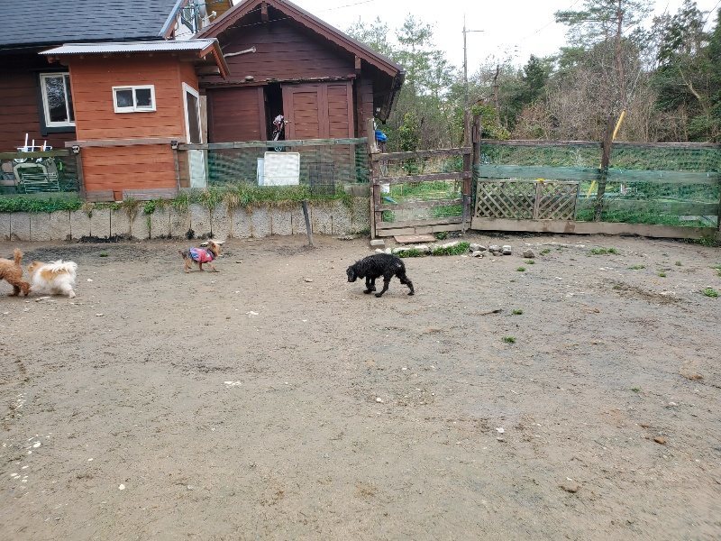 f：id：roukenhome-ann：20200331141511j：plain