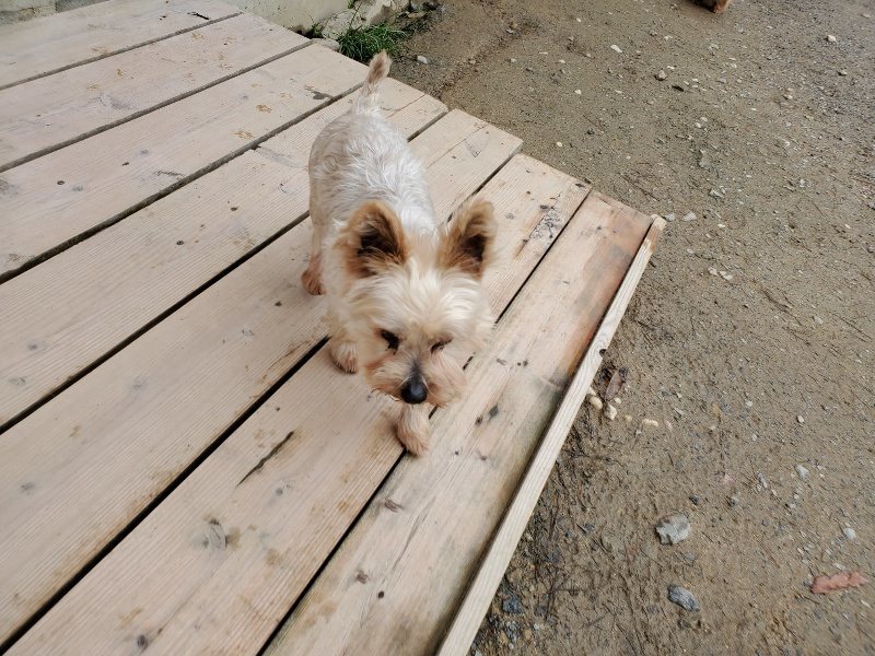 f：id：roukenhome-ann：20200331141933j：plain