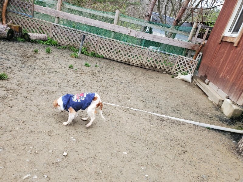 f：id：roukenhome-ann：20200331142002j：plain
