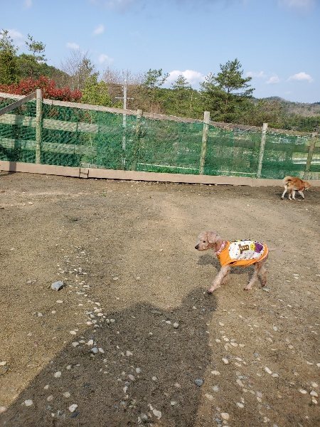 f:id:roukenhome-ann:20200404145000j:plain f:id:roukenhome-ann:20200404145000j:plain